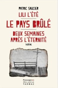 Image de Le pays brulé / Lili l'été / Deux semaines après l'éternité