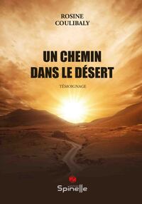 Image de Un chemin dans le désert
