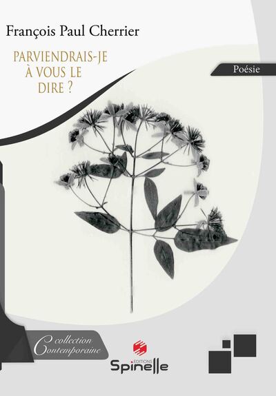 Picture of Parviendrais-je à vous le dire ?