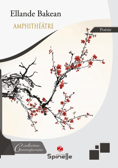 Picture of Amphithéâtre