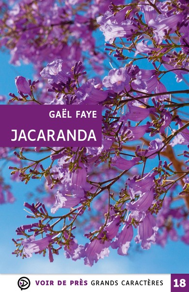 Picture of JACARANDA