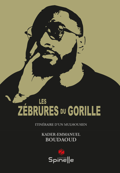 Image de Les zébrures du gorille
