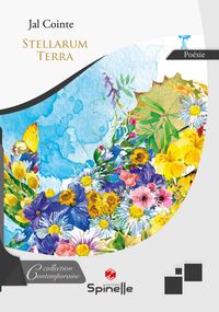 Picture of Stellarum Terra