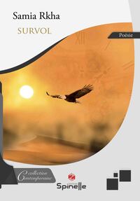 Image de Survol