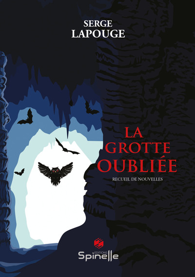 Image de La grotte oubliée