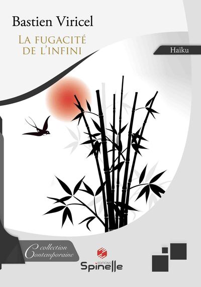 Image de La fugacité de l’infini