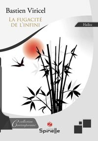 Image de La fugacité de l’infini