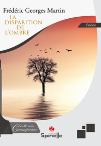 Image de La disparition de l’ombre