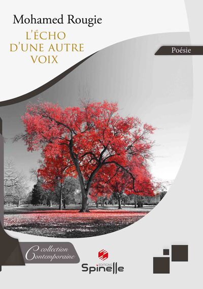Image de L’écho d’une autre voix