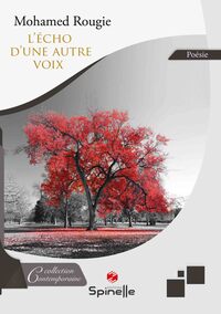 Image de L’écho d’une autre voix