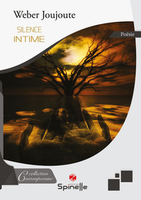 Picture of Silence intime