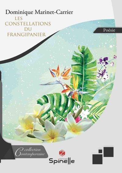 Image de Les constellations du frangipanier