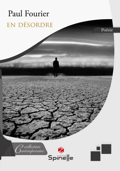 Picture of En désordre