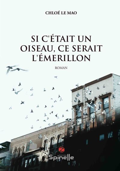 Image de Si c’était un oiseau, ce serait l’émerillon