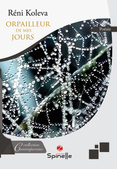 Image de Orpailleur de mes jours