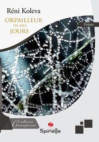 Image de Orpailleur de mes jours