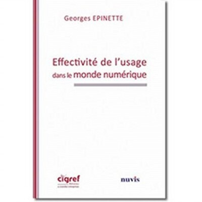 Image de Effectivité de l'usage dans le monde numérique