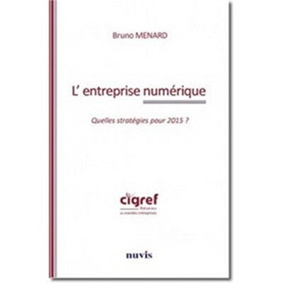 Image de L'entreprise numérique. Quelle stratégies pour 2015?