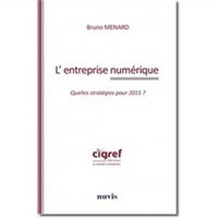 Image de L'entreprise numérique. Quelle stratégies pour 2015?