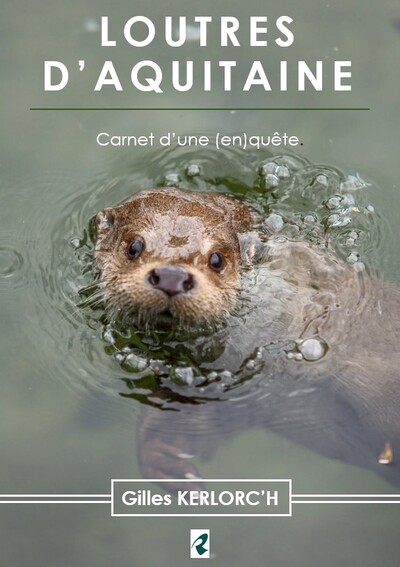 Picture of Loutres d'Aquitaine