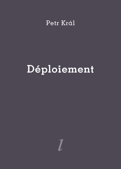 Picture of DEPLOIEMENT