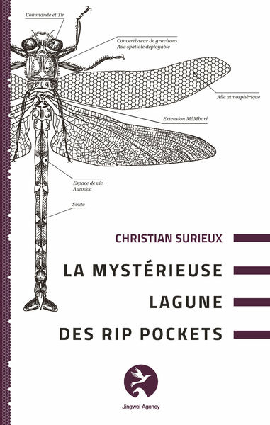 Image de La mystérieuse lagune des RIP Pockets