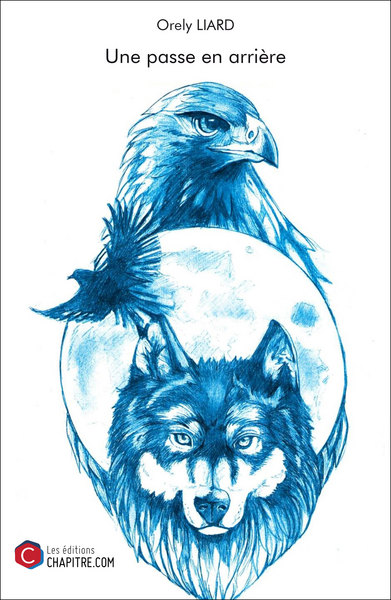 Image de Une passe en arrière