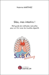 Image de Sibo, mes intestins !