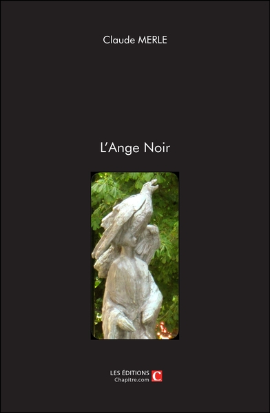 Image de L'Ange Noir