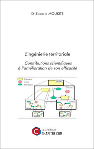 Picture of L'ingénierie territoriale : Contributions scientifiques à l'amélioration de son efficacité.