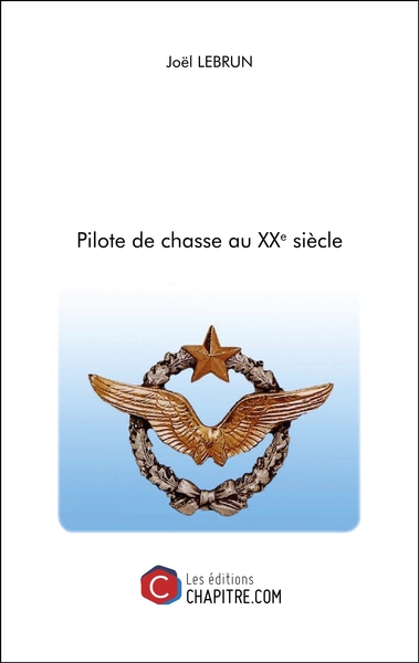 Picture of Pilote de chasse au XXe siècle
