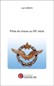 Picture of Pilote de chasse au XXe siècle