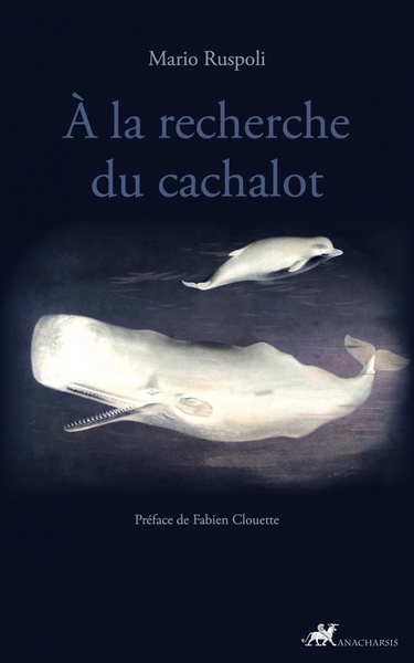 Image de À la recherche du cachalot