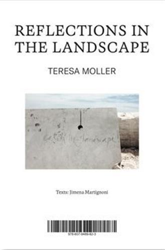 Picture of Teresa Moller Reflections in the Landscape /anglais