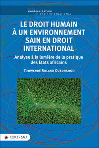 Picture of Le droit humain à un environnement sain en droit international - Analyse à la lumière de la pratique