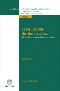 Picture of La justiciabilité des droits sociaux