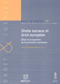 Picture of droits sociaux et droit européen. bilan et prospective de la protection normativ