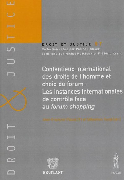 Image de CONTENTIEUX INTERNATIONAL DES DROITS DE L'HOMME ET CHOIX DU FORUM : LES INSTANCE