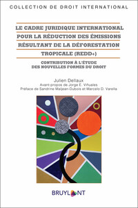 Image de Le cadre juridique international pour la réduction des émissions résultant de la déforestation tropicale (REDD+)