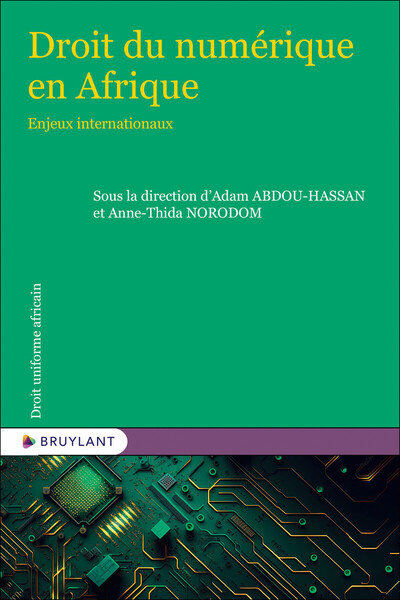 Picture of Droit du numérique en Afrique - Enjeux internationaux