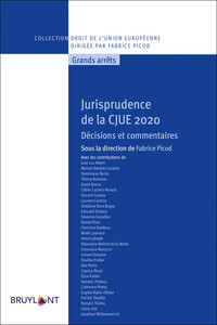 Picture of Jurisprudence de la CJUE 2020