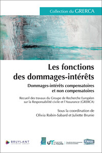 Image de Les fonctions des dommages-intérêts - Dommages-intérêts compensatoires et non compensatoires