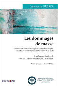 Picture of Les dommages de masse