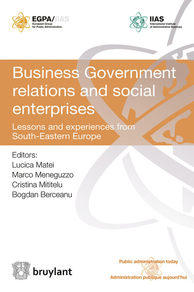 Picture of Business Government relations and social enterprises