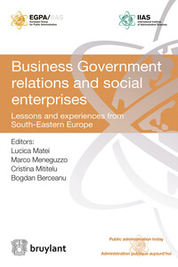 Picture of Business Government relations and social enterprises