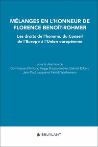 Picture of Mélanges en l'honneur de Florence Benoît-Rohmer