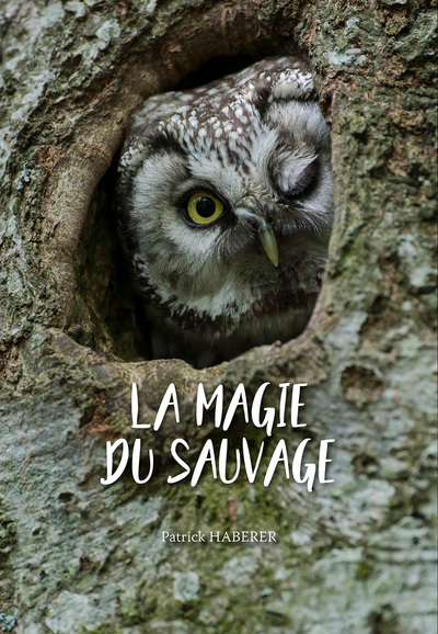 Picture of La Magie du Sauvage