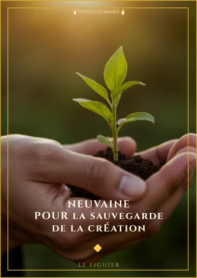 Image de Neuvaine pour la sauvegarde de la Création