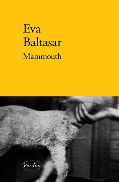 Picture of Mammouth