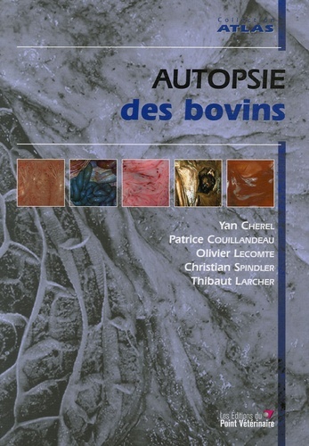 Image de AUTOPSIE DES BOVINS